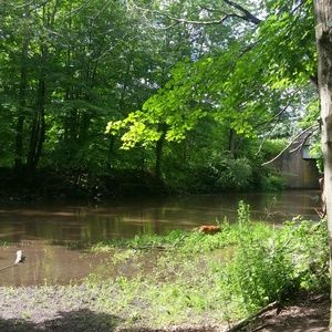 Meet your Posher, Peggy