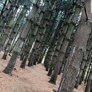 Meet your Posher, Eli