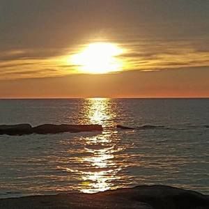 Meet your Posher, Ramona