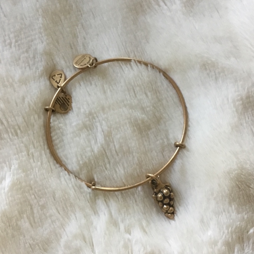 Alex $ Ani Bangle
