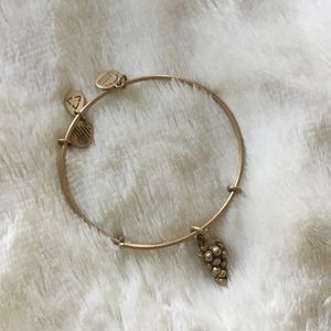 Alex $ Ani Bangle