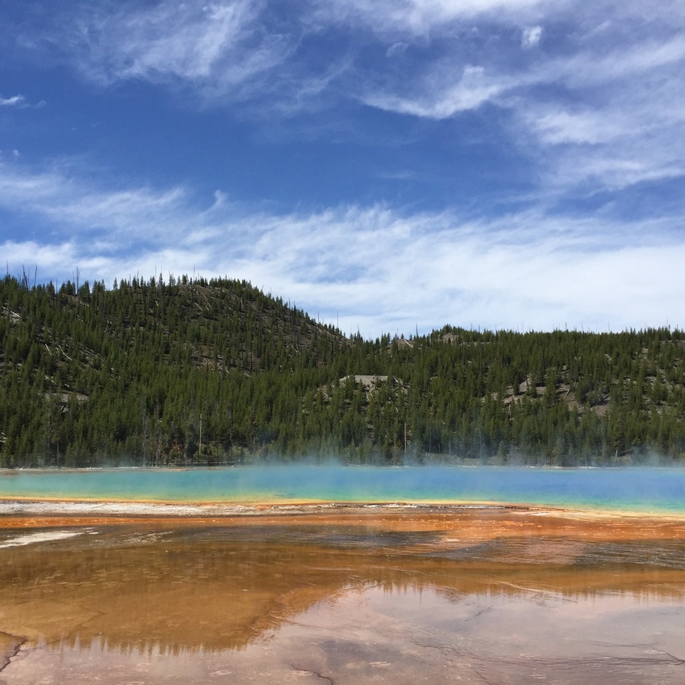 Meet your Posher, Steven