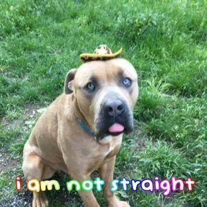 Meet your Posher, Nic