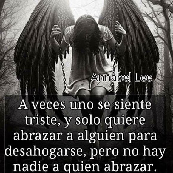 Meet your Posher, Durvis - Picture 1 of 1