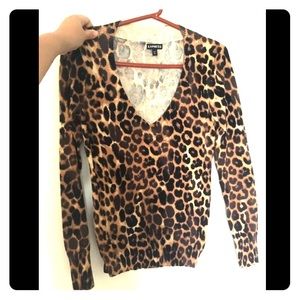 Leopard print Express pullover v-neck sweater