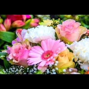 Meet your Posher, Tamara