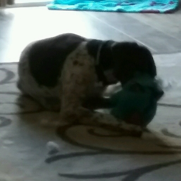 Meet your Posher, Jeanine - Picture 1 of 1