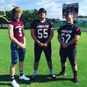 Meet your Posher, Wyatt