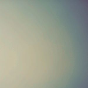 Meet your Posher, Kat