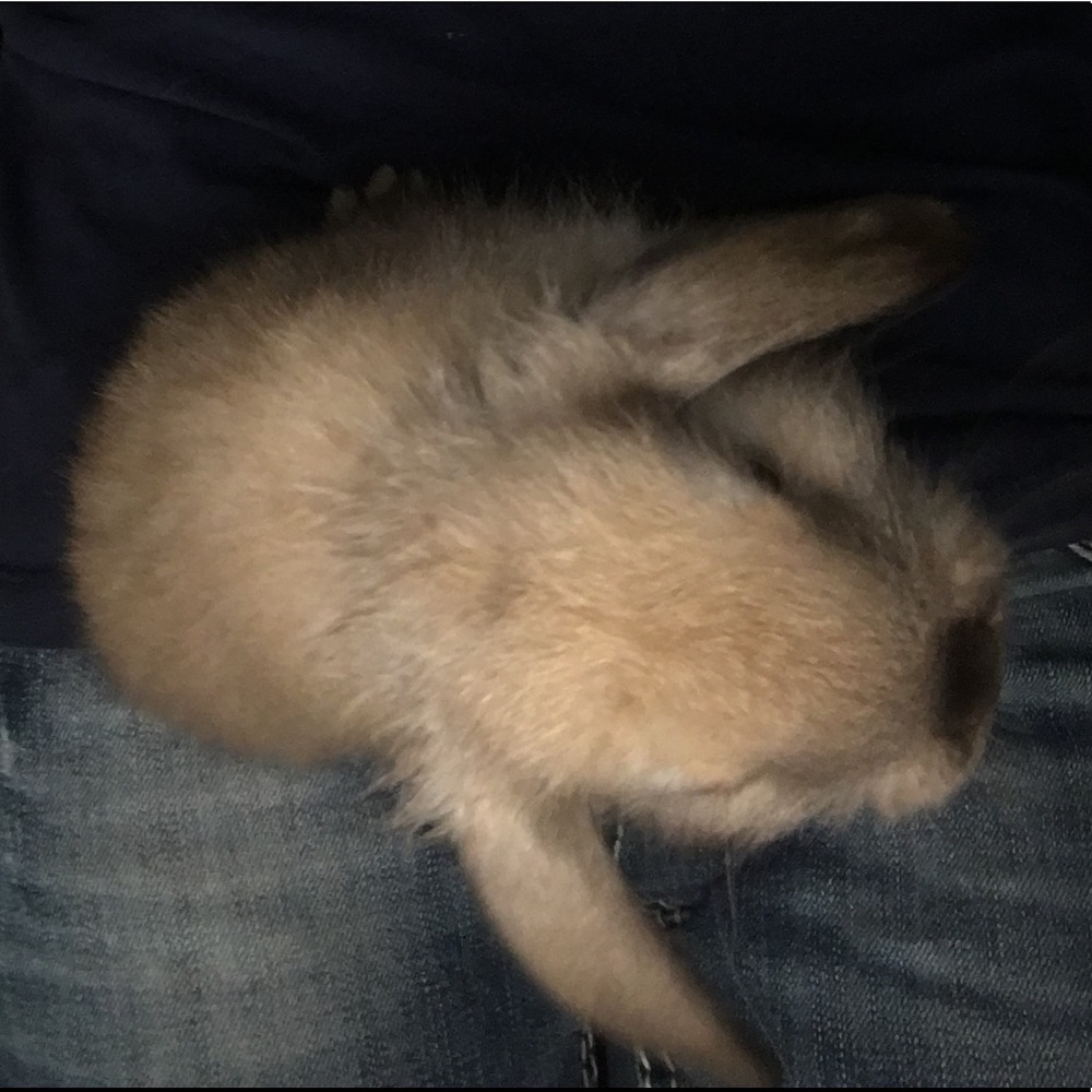 Meet your Posher, Kayla