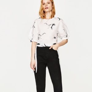 Zara bird top