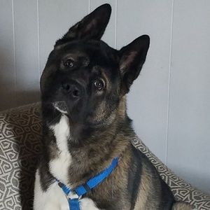 Meet your Posher, Allen