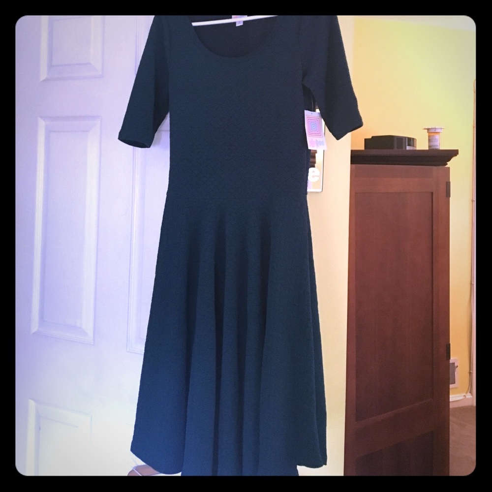 Lularoe Nicole Dress - Gorgeous color!