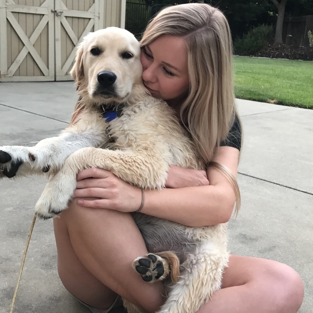 Meet your Posher, Lacy