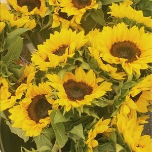 Meet your Posher, Becky