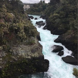 Meet your Posher, Alex