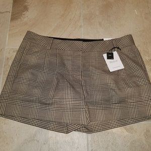 Express The Editor Shorts Size 10