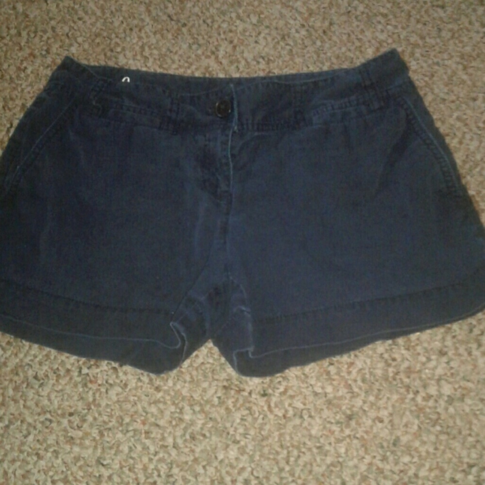 Ann Taylor Loft Shorts