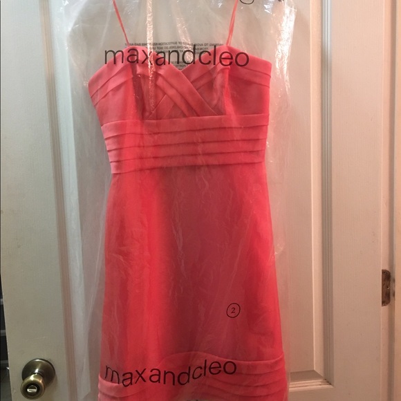 Max and Cleo Cocktail Dress LouLou Color NWT - Picture 4 of 4