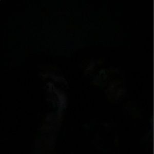 Meet your Posher, Bryce