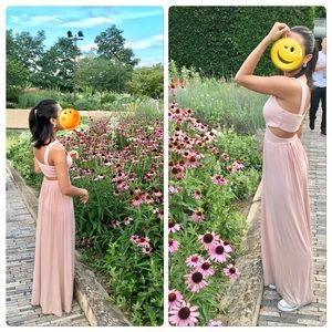 Showpo Maxi Dress (MOVING SALE)