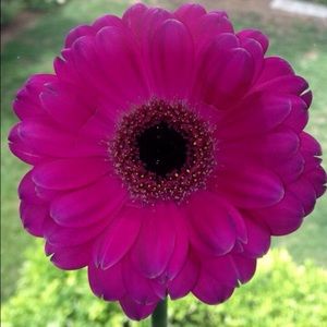 Meet your Posher, Lucy