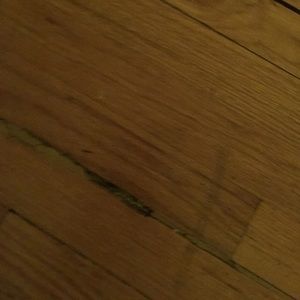 Meet your Posher, Daryl