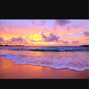 Buy one item get one free!