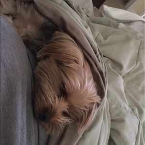 Meet your Posher, Aimee