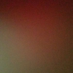 Meet your Posher, Dylan