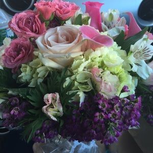 Meet your Posher, Shu