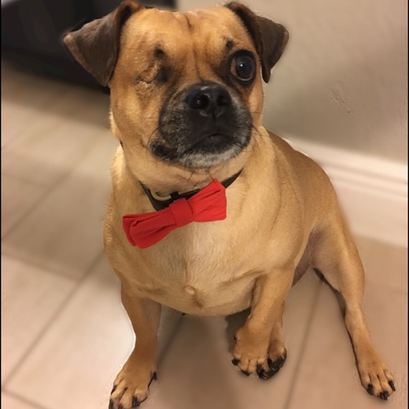 Hi! It's me! Nice to meet you!  - Picture 2 of 3