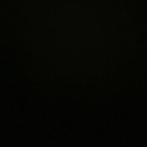 Meet your Posher, Isabel