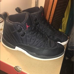 Air Jordan Nylon 12s