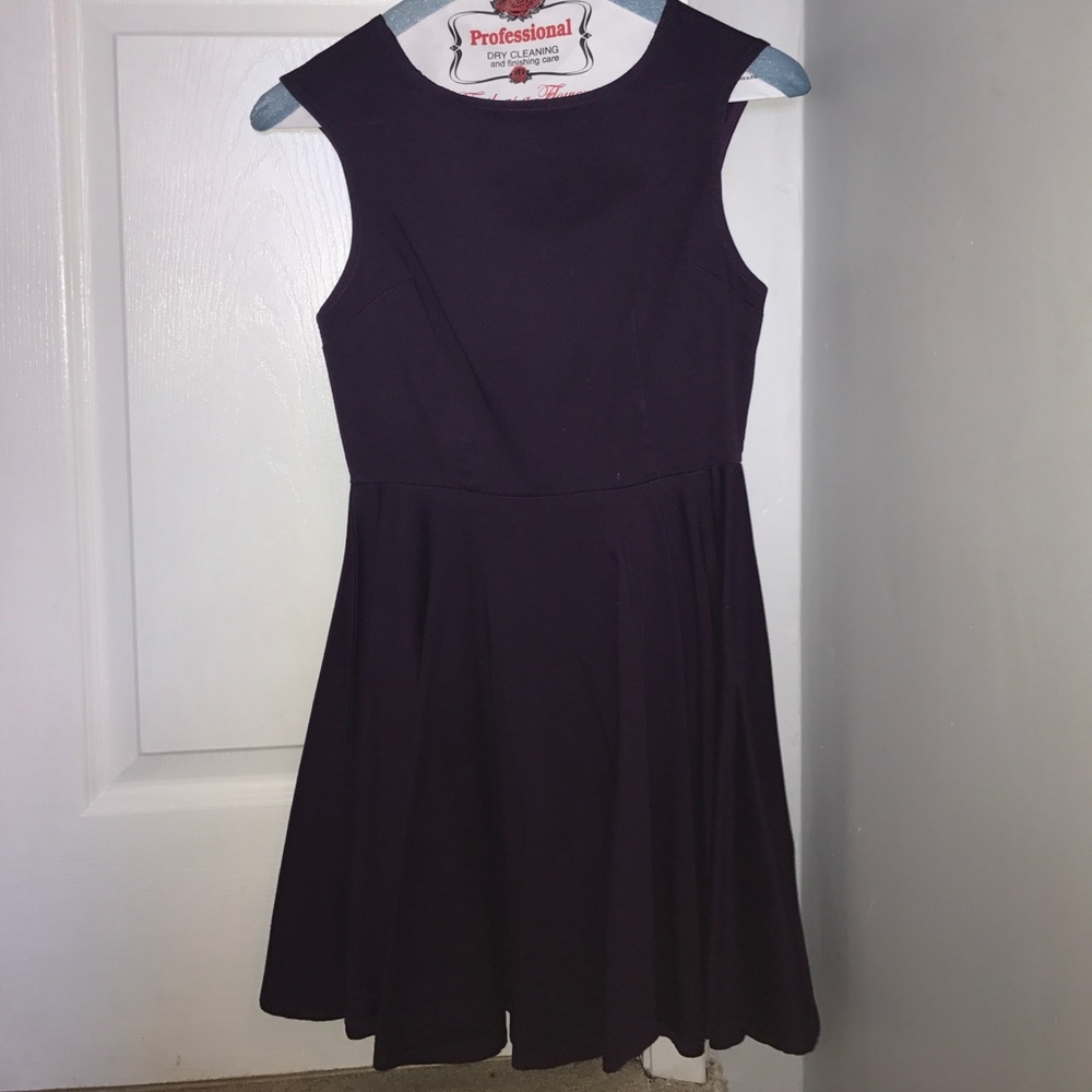 Violet Skater Dress - Tobi