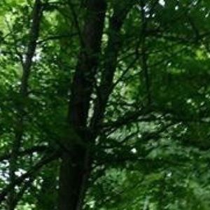 Meet your Posher, Nelson