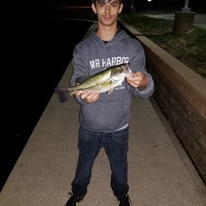 Meet your Posher, Konner