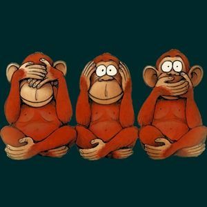 Meet your Posher, Heidi