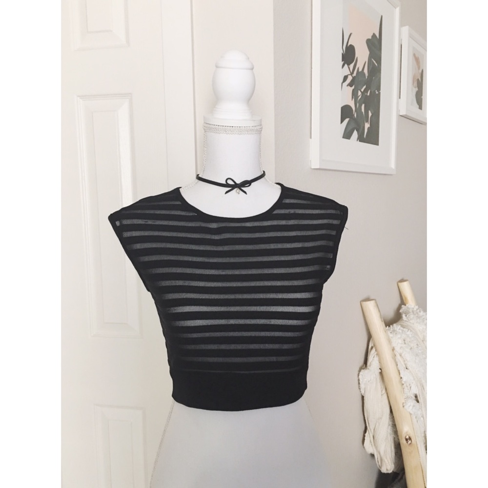 Cap Sleeved Sheer Striped Black Crop Top