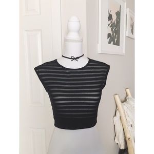 Cap Sleeved Sheer Striped Black Crop Top