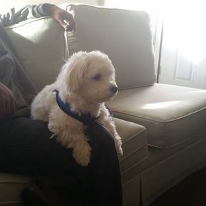 Meet your Posher, Barbara