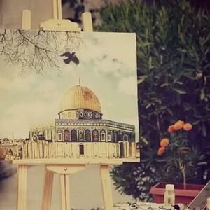 Meet your Posher, Sondos