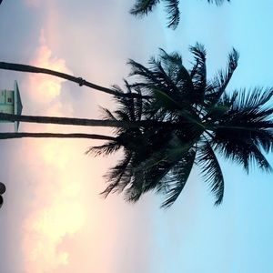 Meet your Posher, Mia