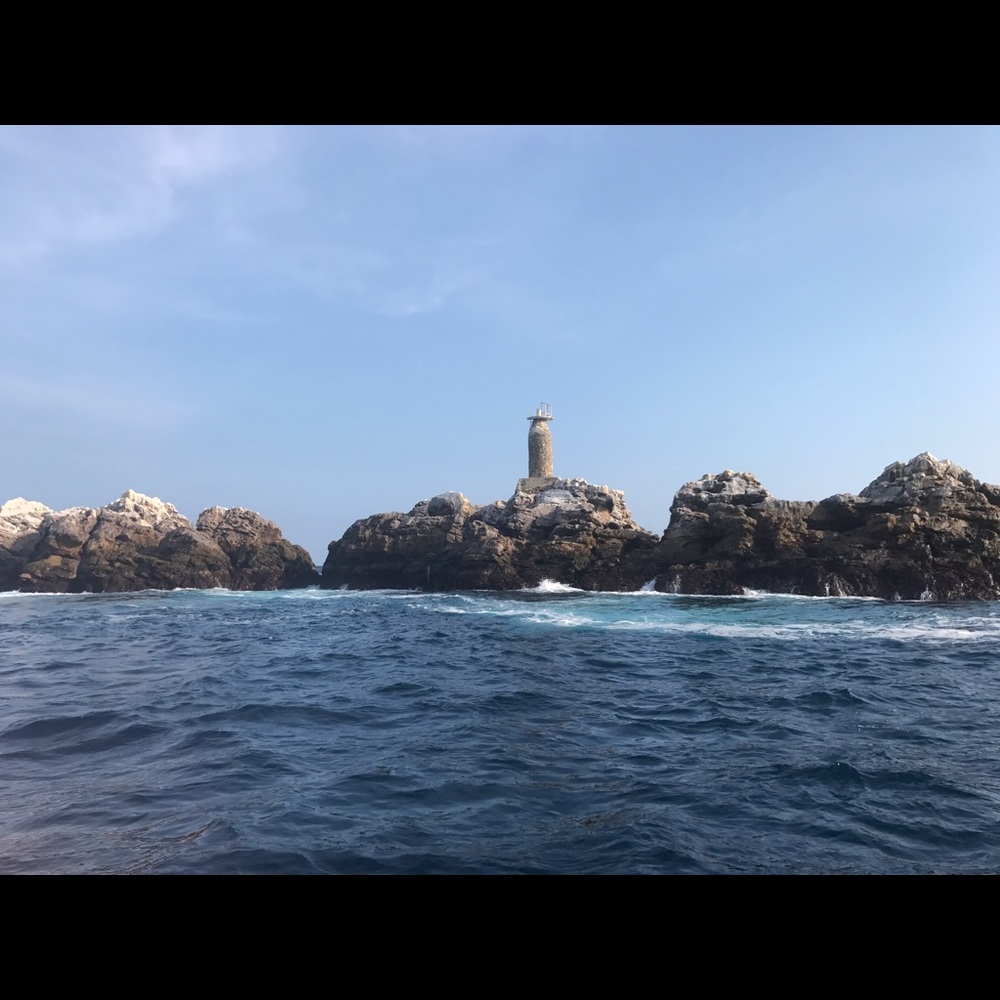 20% MARKDOWN ON ALL ITEMS