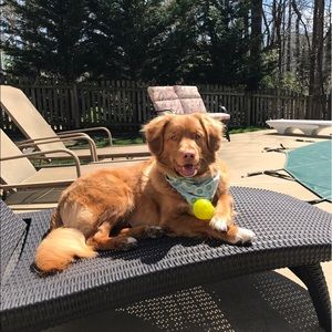 Meet your Posher, Ann