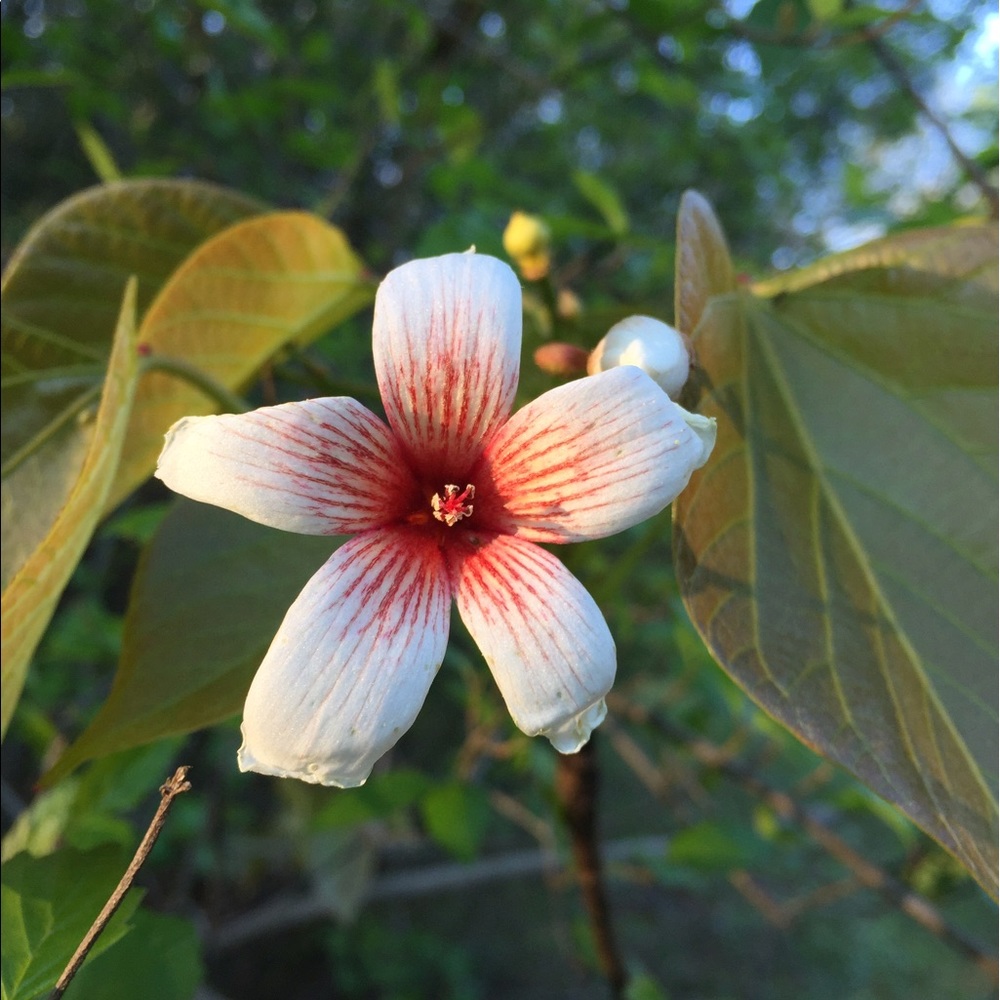 Meet your Posher, Alysha