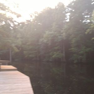 Meet your Posher, Sharee