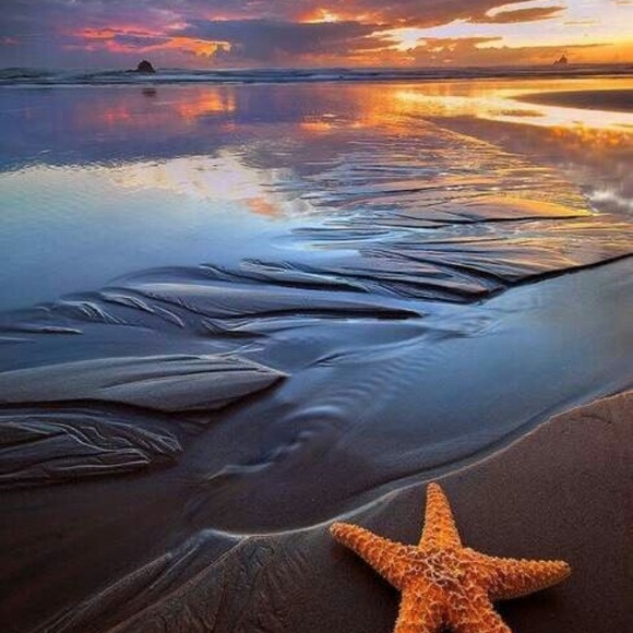 โ๏ธ๐ ALL THINGS BEACHY!!! ๐โ๏ธ - Picture 6 of 6