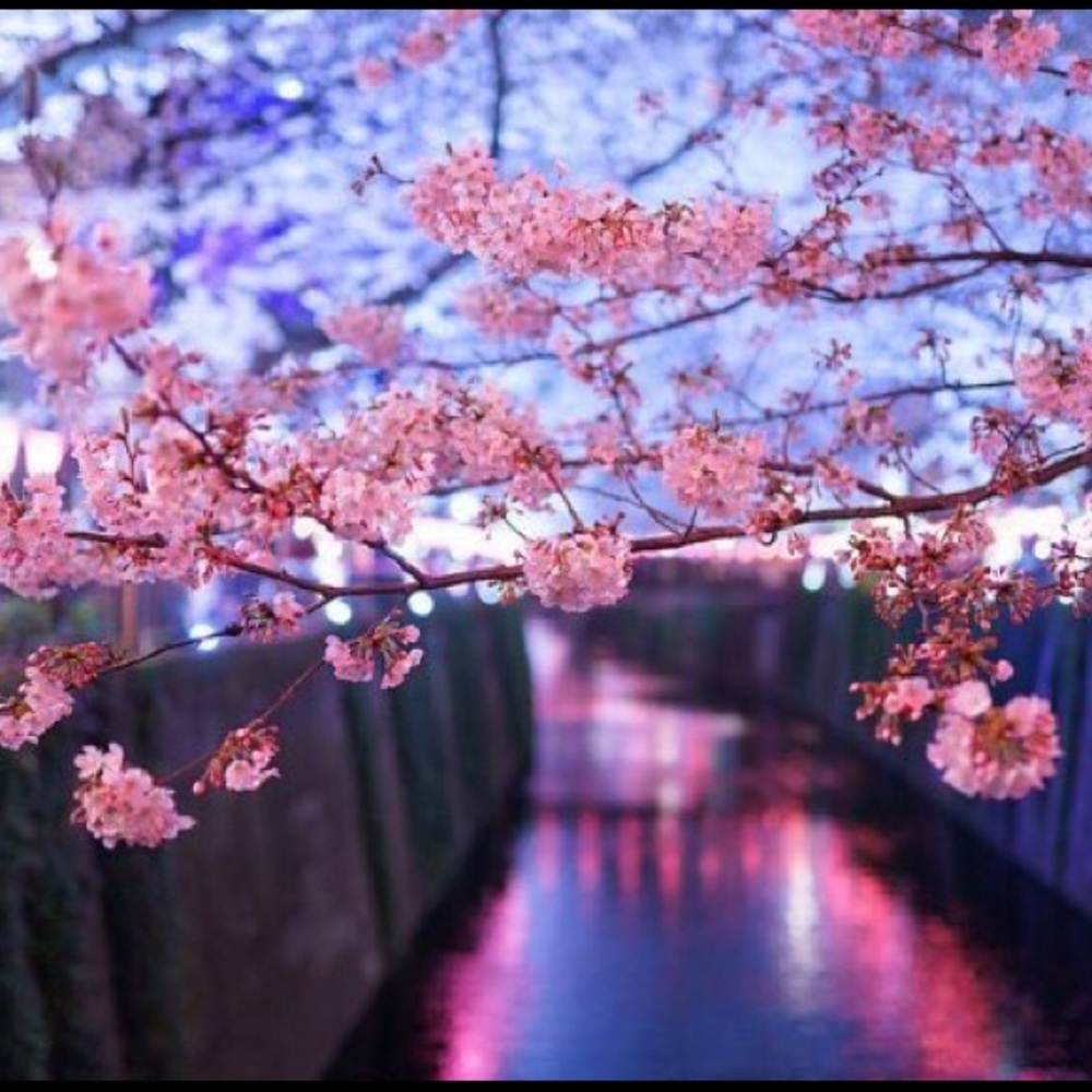 Meet your Posher, Tyrin