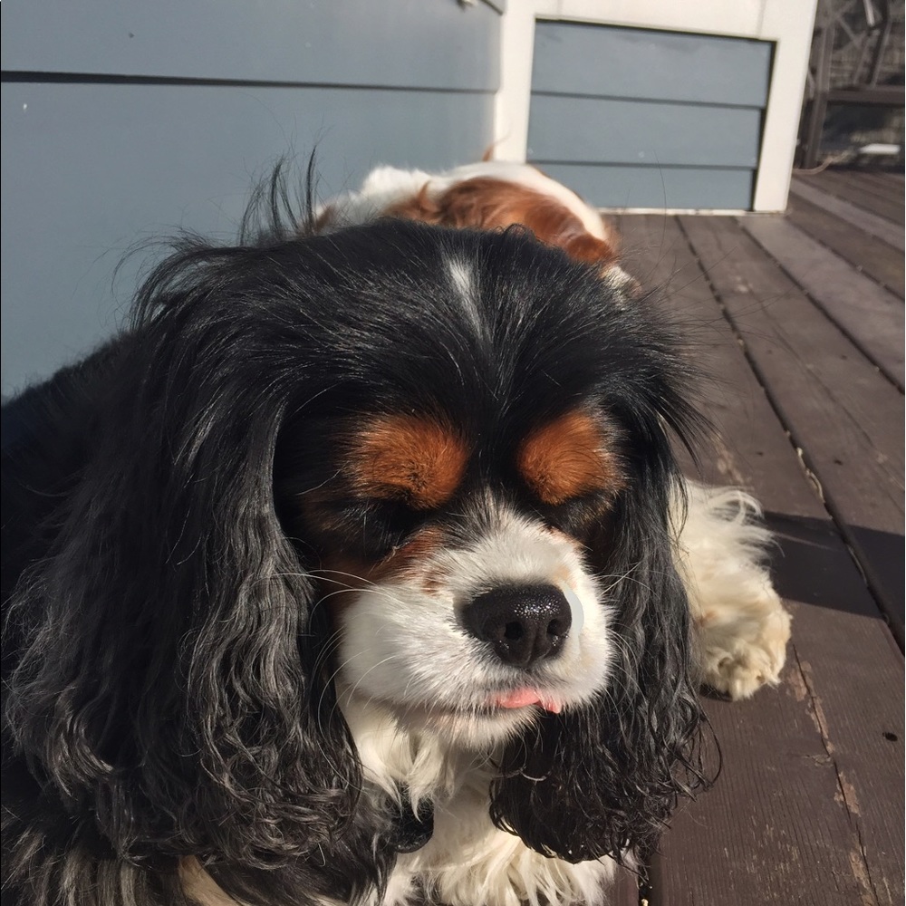 Meet your Posher, Julia